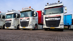 20251129-Lewiszong-00081